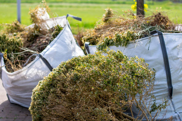 Debris Removal in El Granada, CA